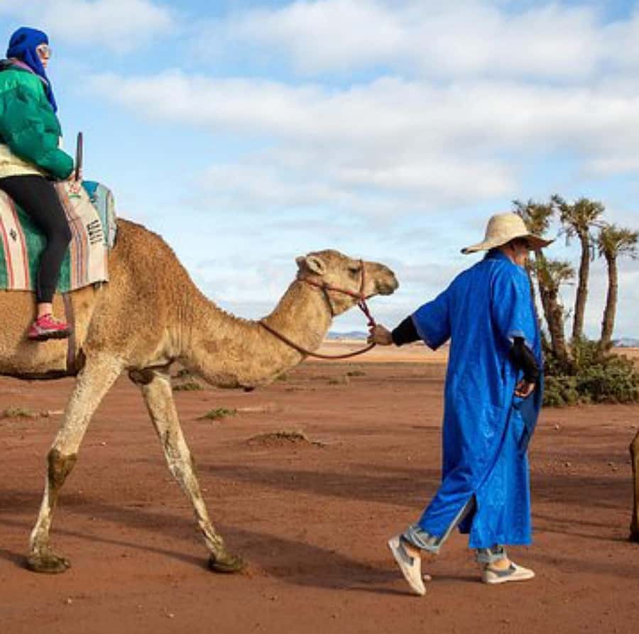Dinner show in agafay Desert 1h quad bike & 20 min camels - Guides make the difference