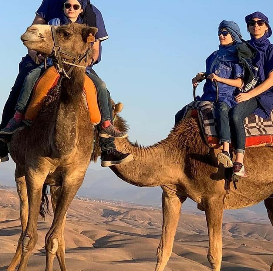 Dinner show in agafay Desert 1h quad bike & 20 min camels - Is $21 good value?