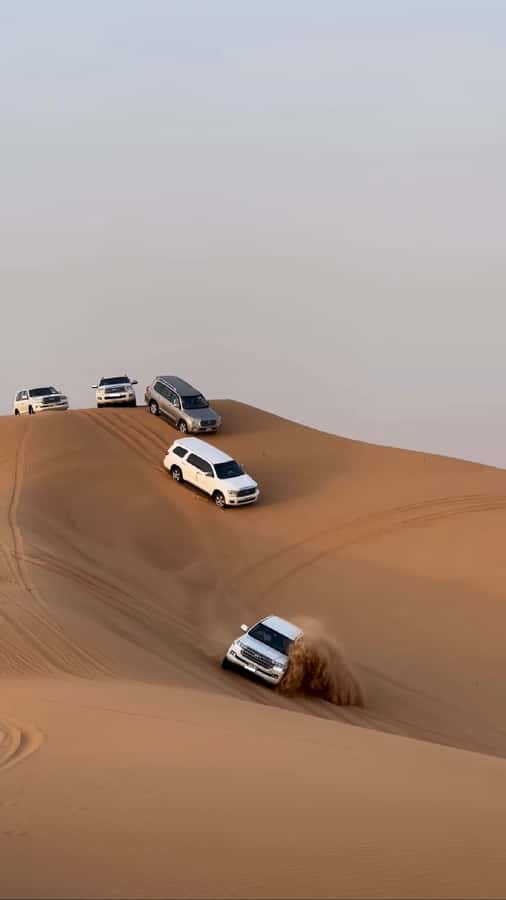 Doha Activities: Desert Safari, Dune Bashing & Inland Sea - A short camel ride with a traditional feel