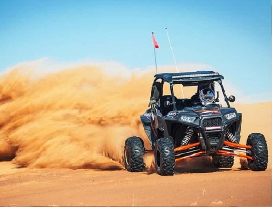 Doha Adventure Quad Bike Safari, Camel Ride & Refreshments - Who should book this desert outing?