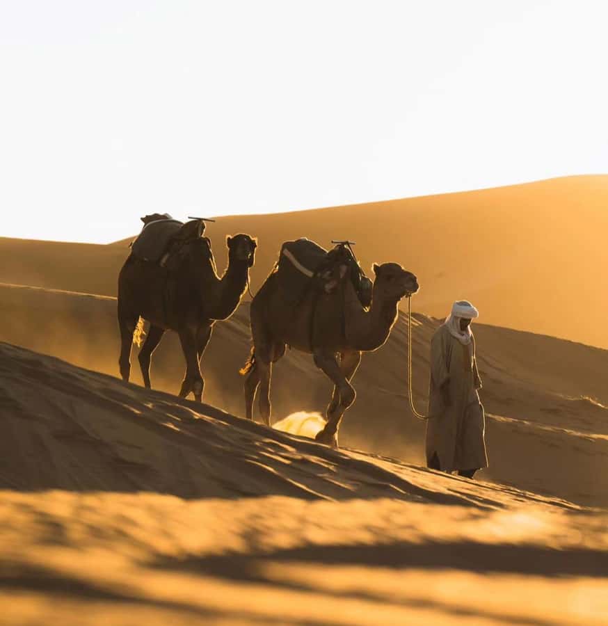 Doha: ATV/Desert Safari with Activities and Inland Sea Stop - Optional camel riding and quad biking