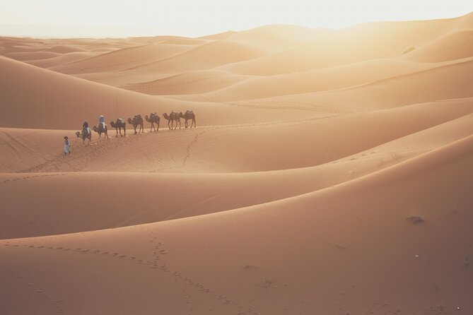 Doha Desert Adventure, Sandboarding, Dune Bashing,Inland Sea Tour - What the $60 price covers