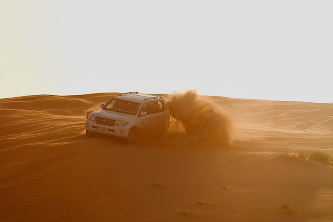 Doha Desert Adventure, Sandboarding, Dune Bashing,Inland Sea Tour - Family use and the right level of adventure