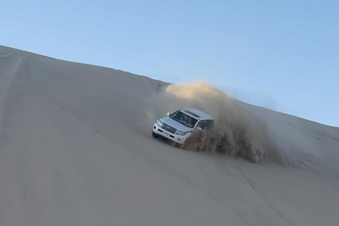 Doha Desert Safari Dune Bashing Camel Ride - Sandboarding without a lift ticket