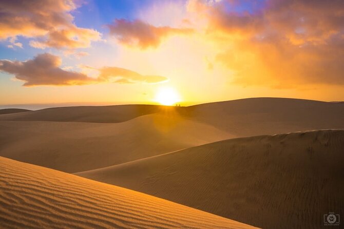 Doha Desert Safari Dune Bashing Camel Ride Sandboarding - Mesaieed: where the dunes begin to feel wild