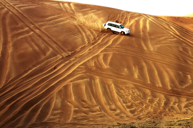 Doha Desert Safari Dune Bashing Camel Ride Sandboarding - Service style and guide expectations