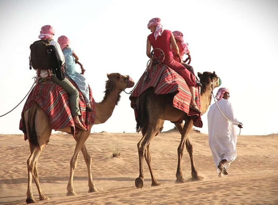 Doha: Desert Safari Dune Bashing, Sandboarding, & Camel Ride - Key points to know before you book