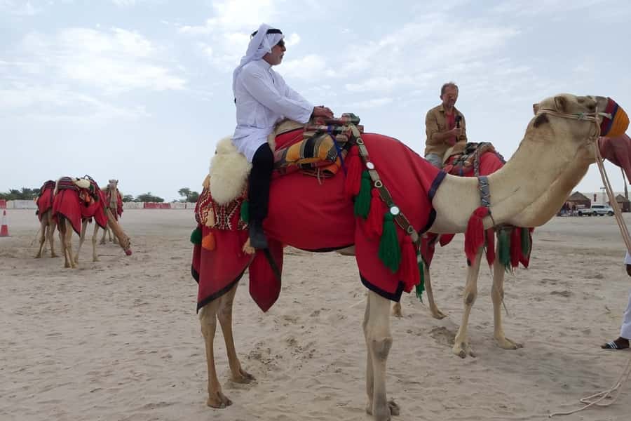 Doha: Desert Safari Dune Bashing, Sandboarding, & Camel Ride - Timing, pickup, and practical comfort