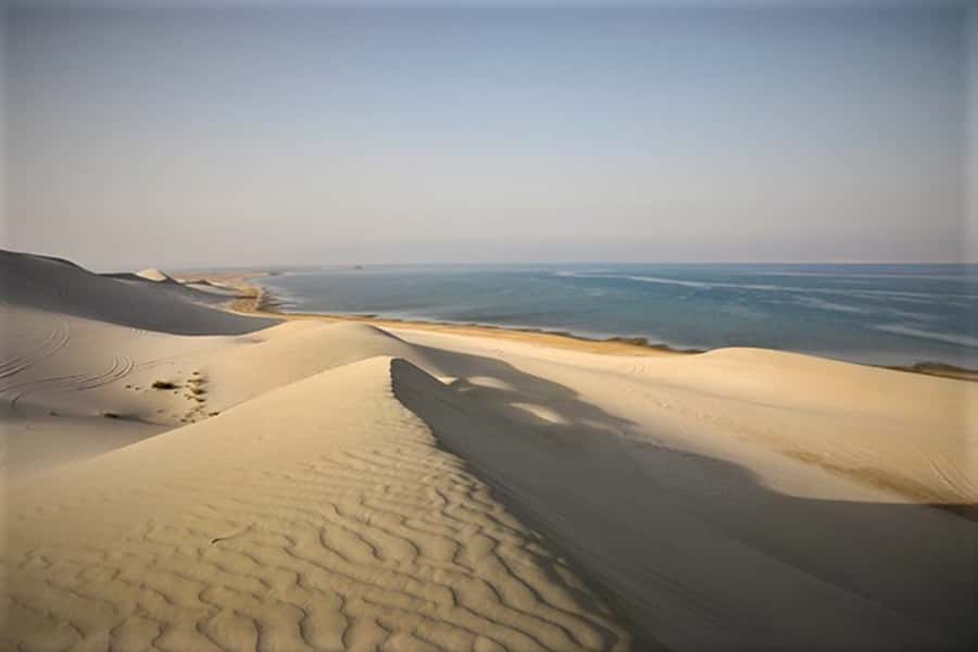 Doha: Desert Safari Dune Bashing, Sandboarding, & Camel Ride - Should you book it?