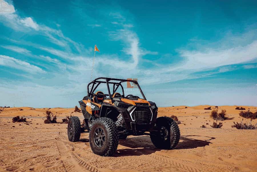 Doha: Desert Safari Experience – Quad Bike, Buggy/Camel Ride - Qatar’s desert and sea in one half-day