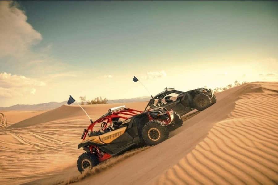 Doha: Desert Safari, Quad Bike, Camel Ride & Inland Sea Tour - Who will enjoy this tour most