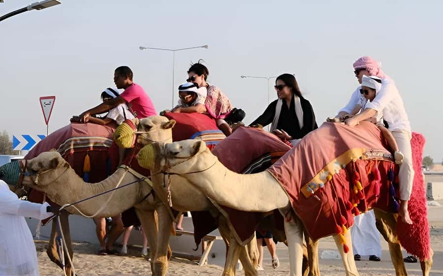 Doha: Desert Safari, Sandboarding, Dune Bashing & Inland Sea - Why this desert safari works so well in Doha