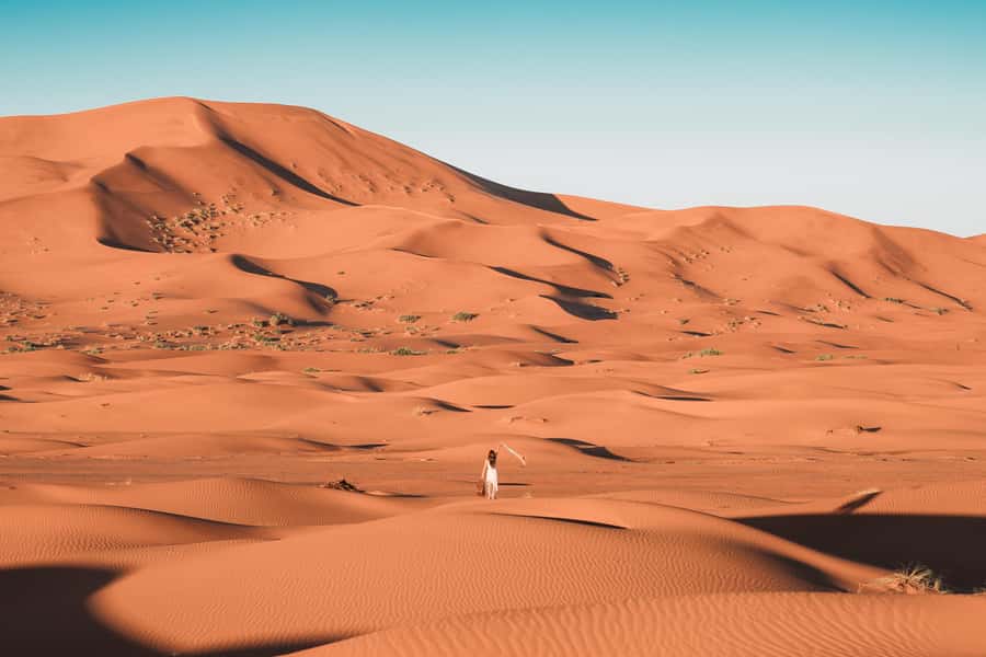 Doha: Desert Safari, Sandboarding, Dune Bashing & Inland Sea - What is included, and what costs extra