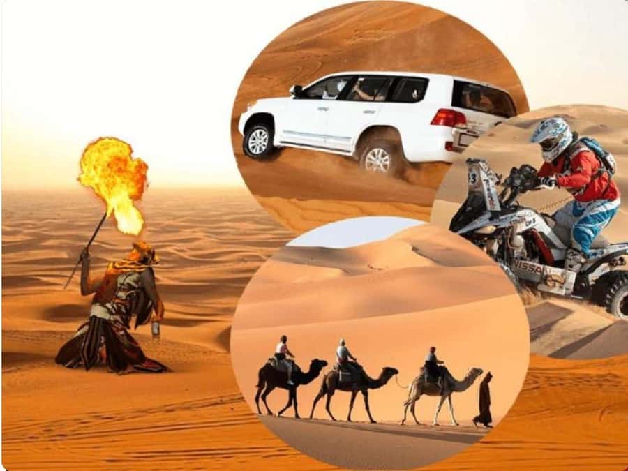 Doha:Desert Safari with Camel Ride, ATV Bike,& Sand Boarding - Key points at a glance