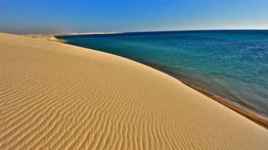 Doha: DesertSafari with Quad Bike, Camel Ride & Sandboarding - Dune bashing across Qatar’s golden dunes