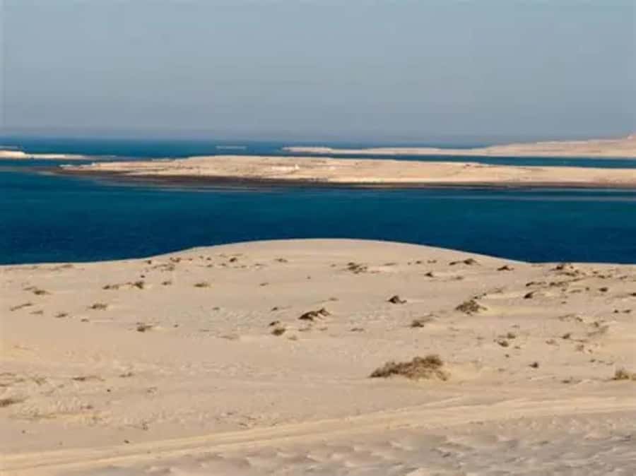 Doha: DesertSafari with Quad Bike, Camel Ride & Sandboarding - The optional 250cc quad bike ride