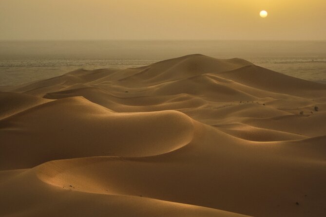 Doha Golden Dune Safari | Dune Bashing| Sandboarding| Inland sea - ATV riding, camels, and falcons
