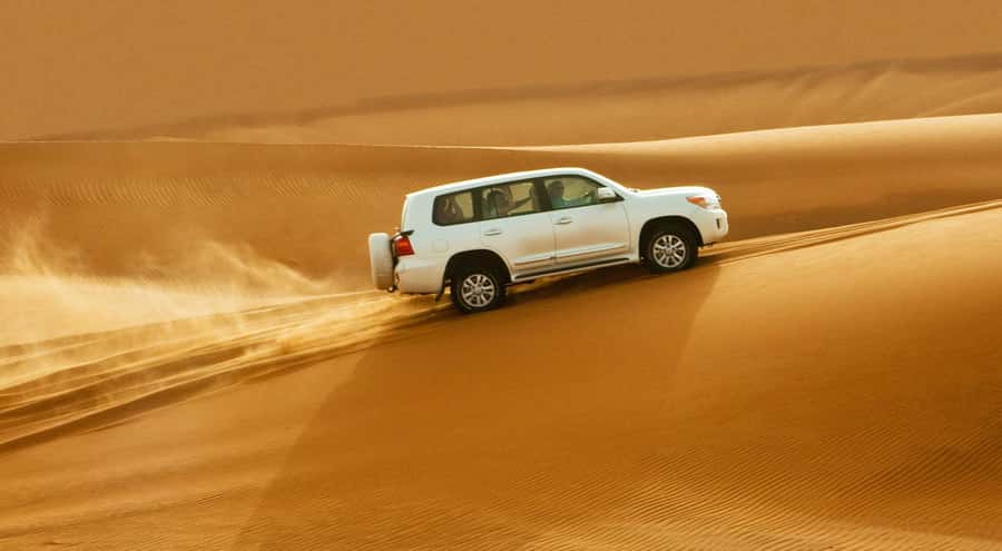 Doha: Half Day Desert Safari, Dune Bashing, Camel Ride - Is $24 good value for a desert safari?