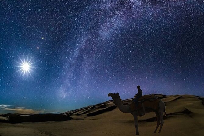 Doha Night Desert Safari Camel Ride Dune Bashing with Transfer - Why a night safari works so well in Doha