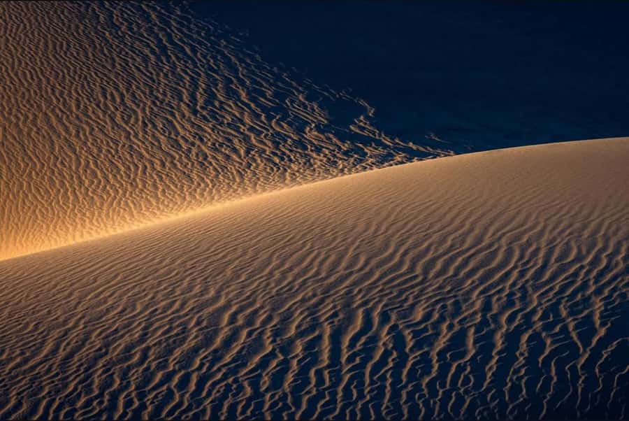 Doha: Nighttime Desert Safari with Dune Bashing & Camel Ride - Sandboarding at RCGJ+88 Ash Shaqra’