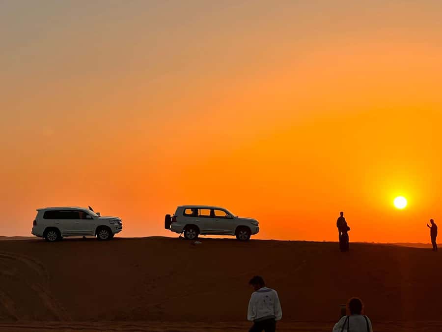Doha: Nighttime Desert Safari with Dune Bashing & Camel Ride - Stargazing and the nocturnal eco-walk