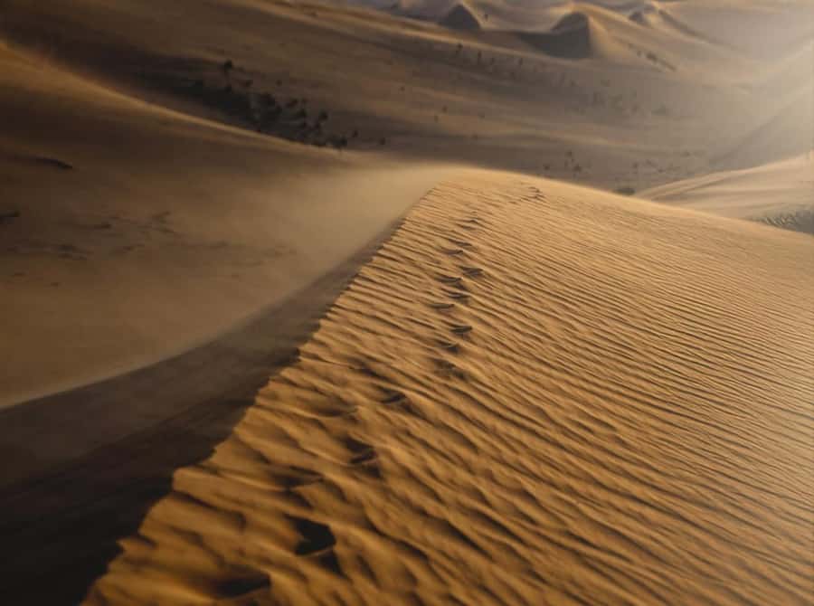 Doha: Nighttime Desert Safari with Dune Bashing & Camel Ride - Who should choose the night safari