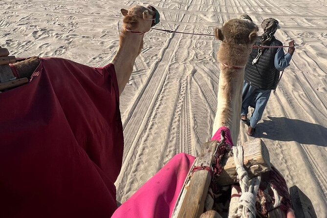 Doha Qatar ATV Quad Bike Buggy Dune Bashing and Camel Ride - What the guides add to the day