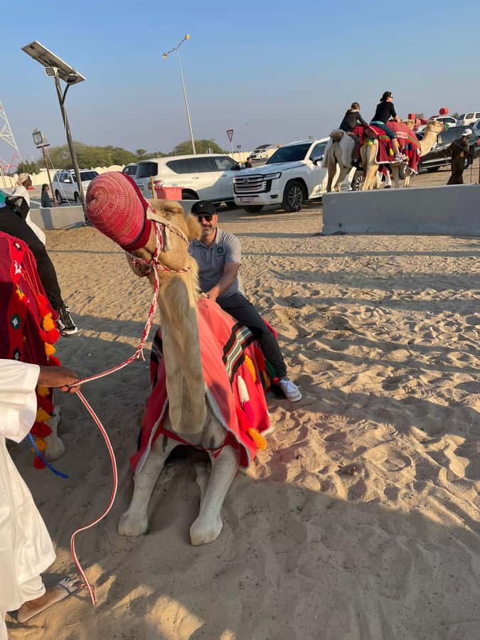 Doha: Quad Bike, Desert Safari, Buggy ride & inland sea tour - Quad biking on marked desert tracks