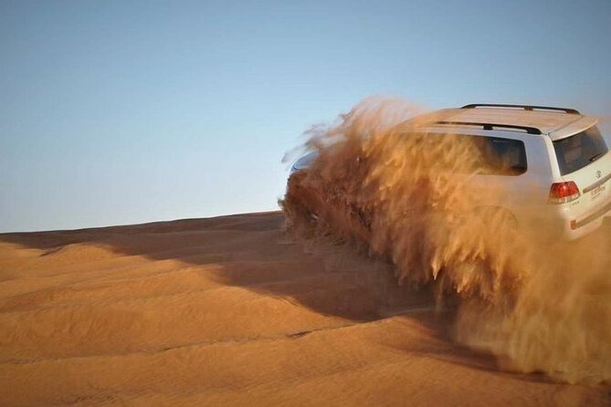 Doha: Quad Bike, Dune Bashing, Camel Ride & Inland Sea Tour - Camels, falcons, and a short desert pause