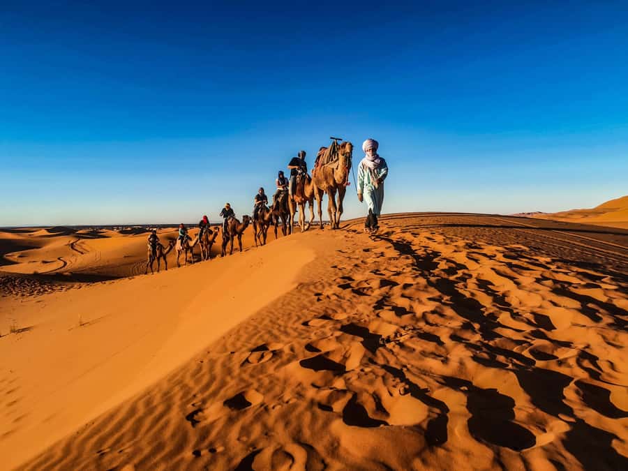 Doha: Quad Bike, Dune Bashing, Camel Ride & Inland Sea Tour - The guides are part of the value
