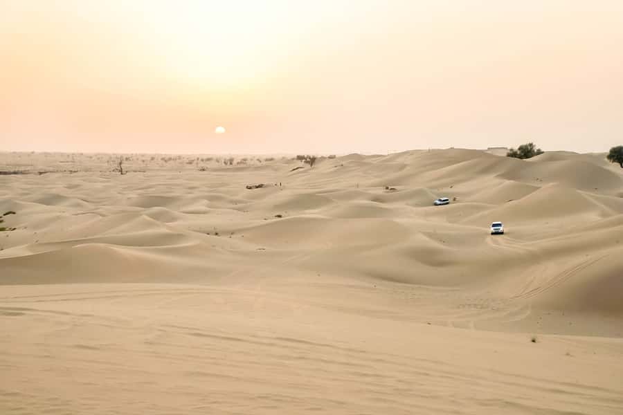 Doha: Safari, ATV, Camels, Sandboarding and Inland Sea Tour - What the $32 price really covers