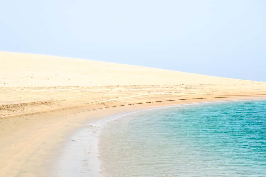Doha: Safari, ATV, Camels, Sandboarding and Inland Sea Tour - Who should book this desert safari