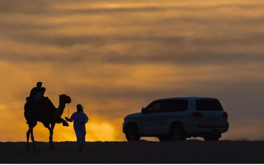 Doha: Stargazing Desert Safari w/ Dune Bashing & Camel Ride - Key points at a glance