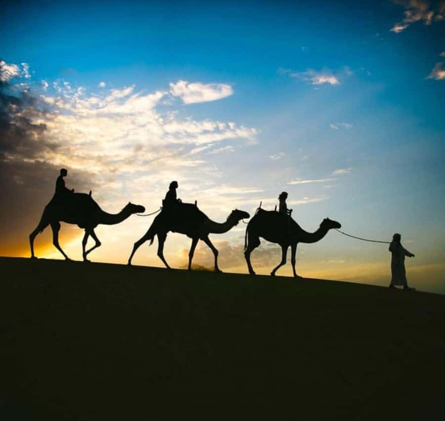 Doha: Stargazing Desert Safari w/ Dune Bashing & Camel Ride - Sealine: the first desert and sea views
