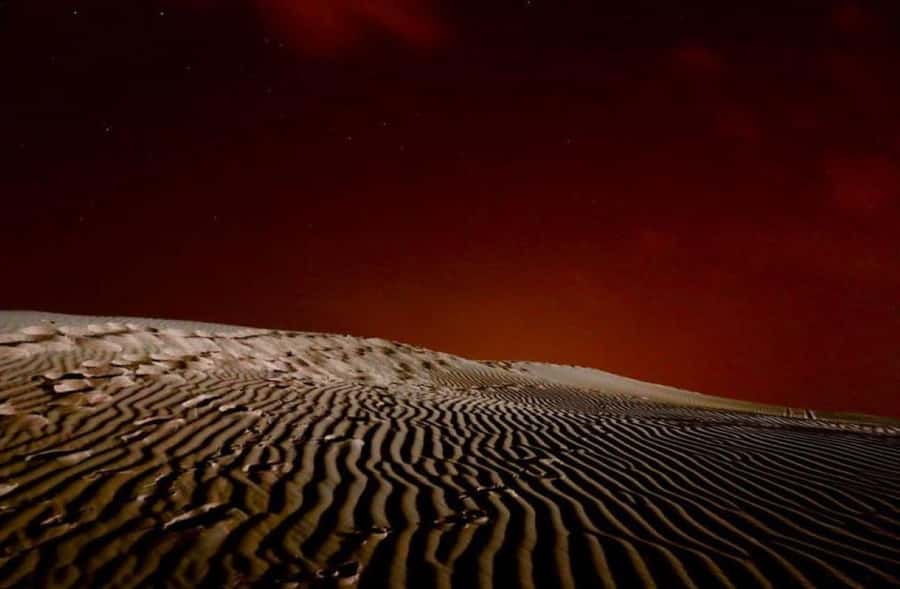 Doha: Stargazing Desert Safari w/ Dune Bashing & Camel Ride - Dune bashing and sandboarding