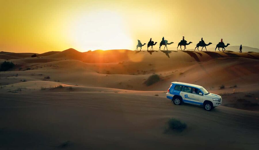 Doha: Sunset Desert Safari, ATV, Camel Ride and Sandboarding - What the five-hour route feels like