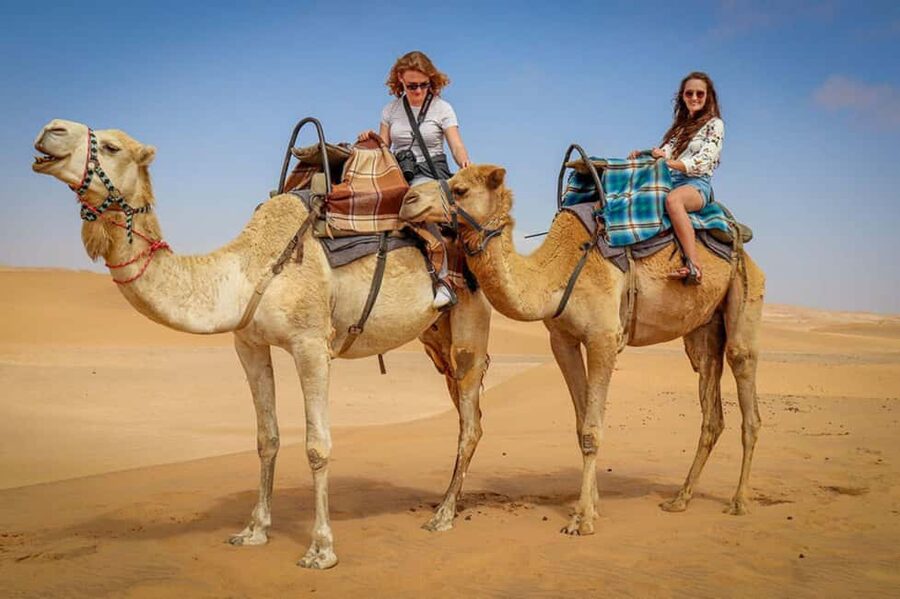 Doha: Sunset Desert Safari, ATV, Camel Ride and Sandboarding - Who should book this safari?