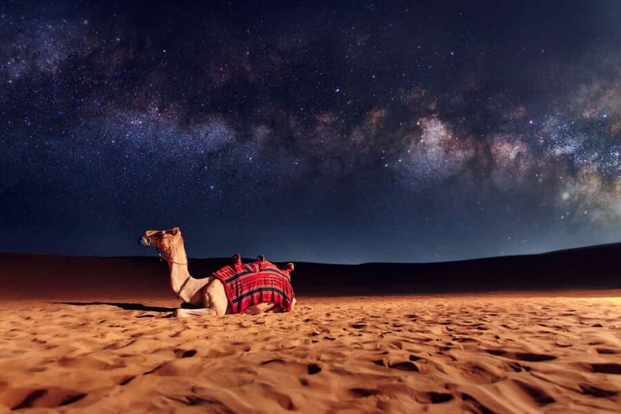 Doha: Sunset Desert Safari, ATV, Camel Ride and Sandboarding - Camel riding comes first