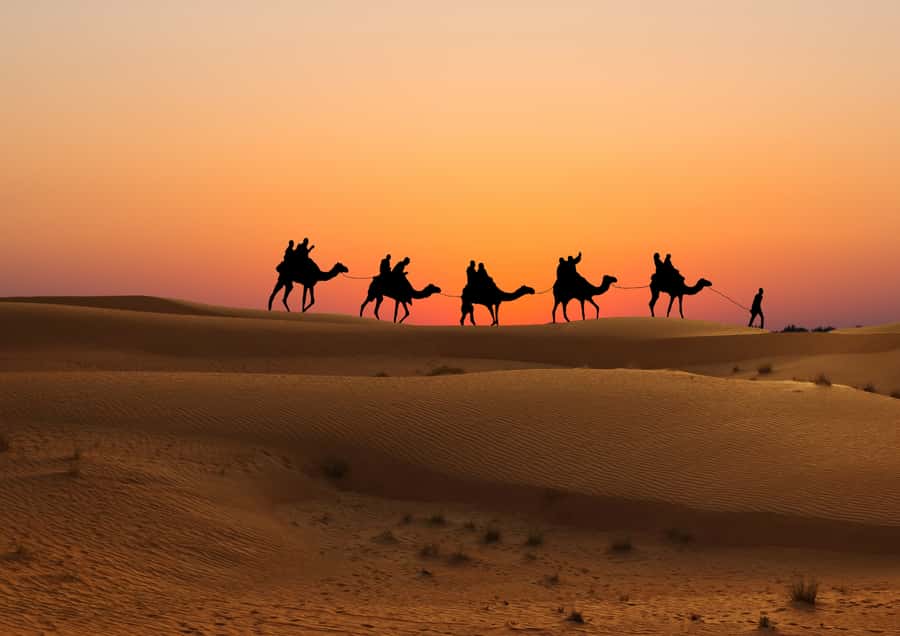 Doha: Sunset Safari, Dune Bashing, Sandboarding & Camel Ride - Sandboarding without an extra charge