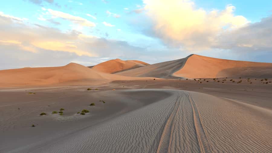 Doha: Sunset Safari, Dune Bashing, Sandboarding & Camel Ride - Who should book this safari