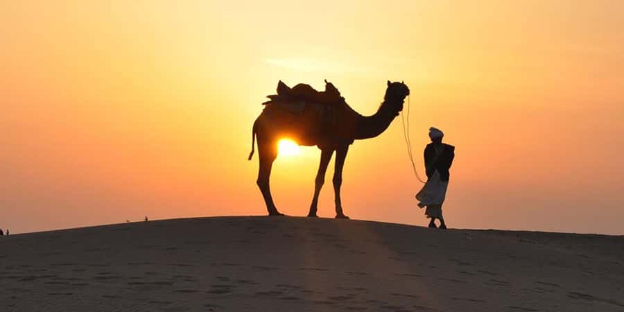 Doha: Thrilling 4x4 Desert Safari, Inland Sea-All Activities - The Inland Sea is the quiet reward