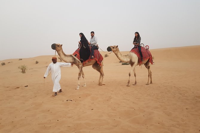 Dubai 4x4 Desert Safari, Quad Bike, Camel Ride & BBQ Dinner - Shared 4WD or private upgrade?