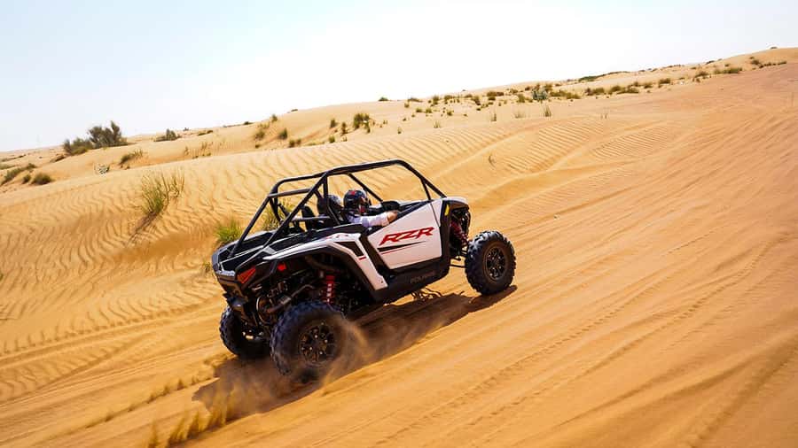 Dubai: Buggy Dune Bashing, Sand Boarding, Camel Ride & Show - Should you book this Dubai desert tour?