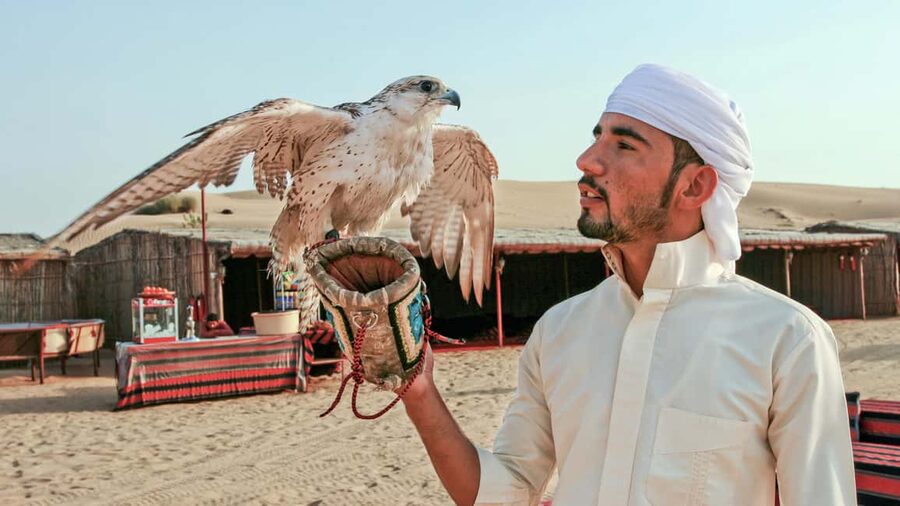 Dubai Desert Adventure: Red Dunes Guided Quad/Polaris & BBQ - Should you book the Red Dunes Desert Adventure?