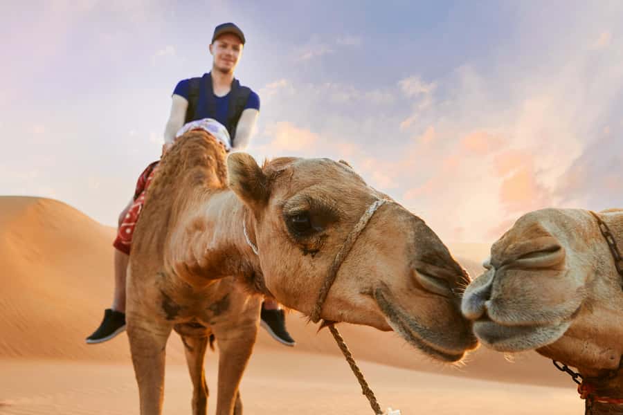 Dubai Desert Safari - Camel Ride, Sandboarding & 30 Min Quad - Sunset, guide quality, and the human side of the tour
