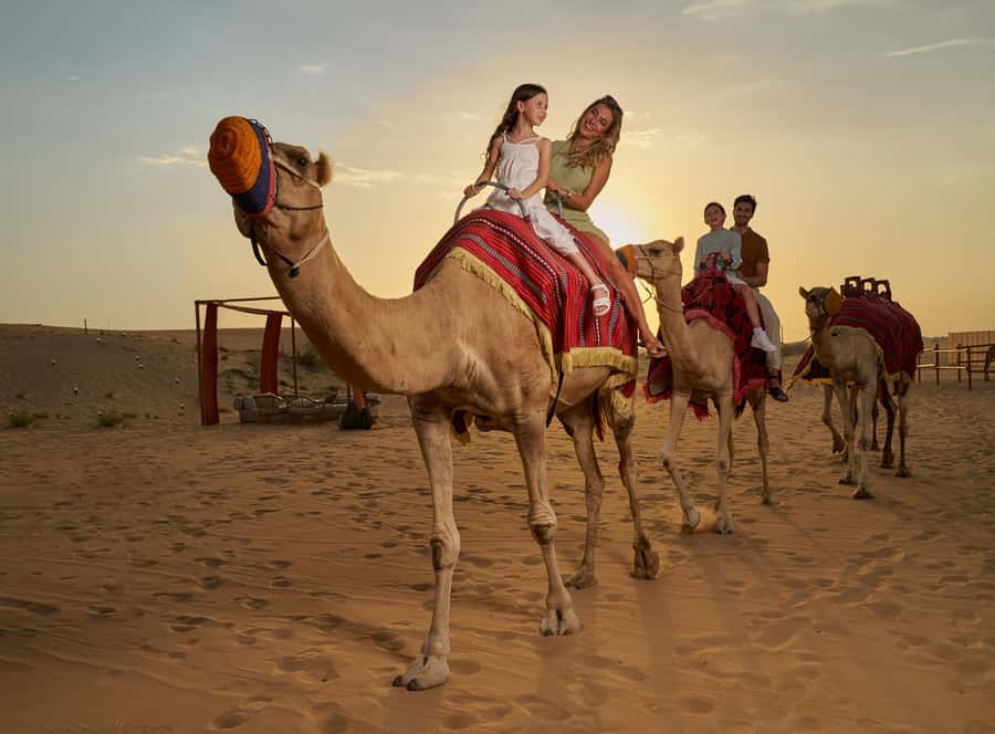 Dubai: Desert Safari, Quad Bike & Premium Camp Experience - Key points at a glance