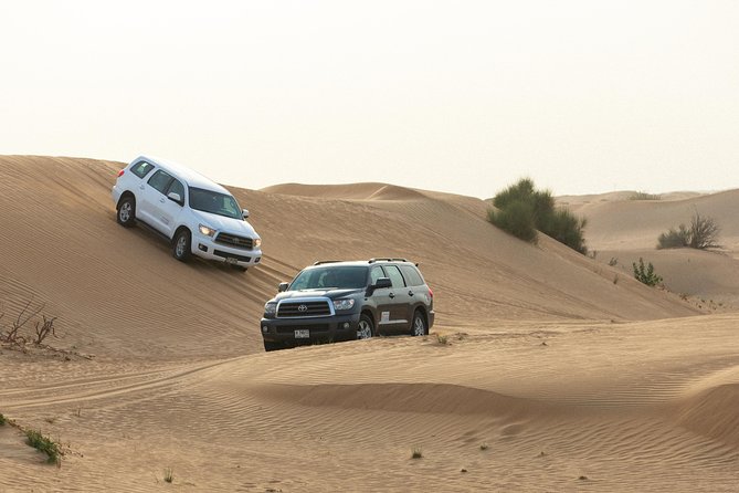Dubai Desert Safari with Quads, BBQ Dinner, Camel ride, & Shows - The included quad-bike ride