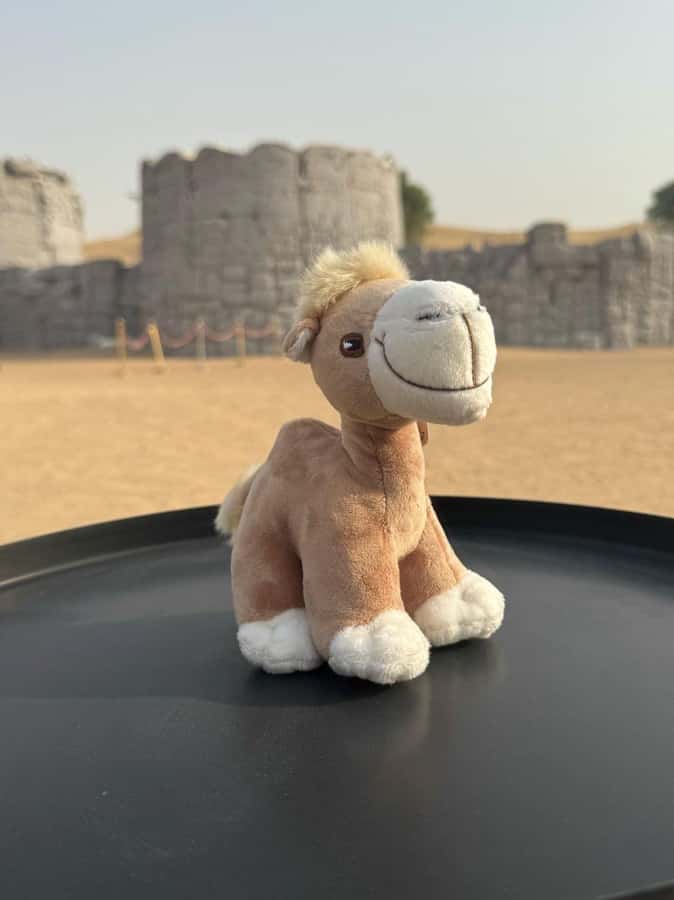Dubai Fort Lisaili Desert: Quad, Buggy Ride & Free Souvenir - Picking the right thrill option
