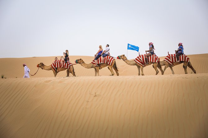 Dubai: Half-Day Desert Safari, Camels, Quad Bike & Refreshments - Photo time on the dune tops