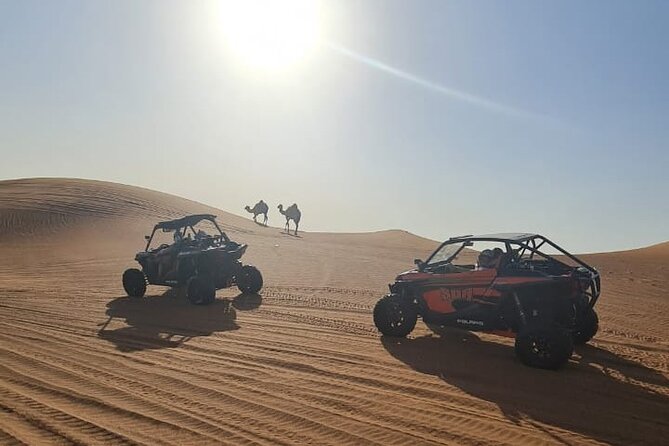 Dubai Morning Buggy Dunes Safari with Sandboarding & Camel Ride - The one-hour buggy ride through open dunes